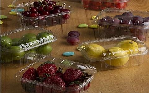تصویر 1 از قیمت خرید ظرف یکبار مصرف میوه + فروش ویژه