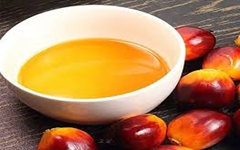 تصویر 5 از خرید و فروش روغن هسته خرما با شرایط فوق العاده