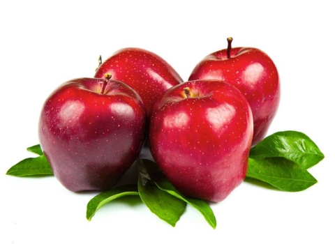 تصویر 4 از قیمت خرید سیب درجه یک با فروش عمده