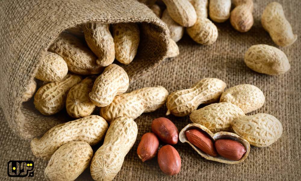 تصویر 2 از بادام زمینی قیمت
