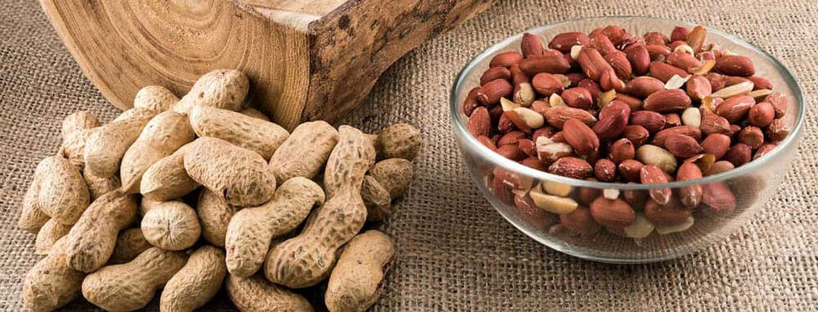 تصویر 5 از خرید بادام زمینی تازه+ فروش ویژه