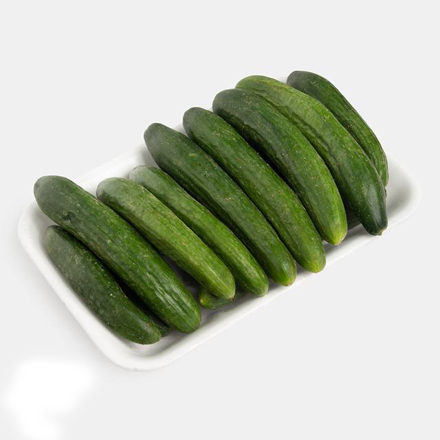 تصویر 1 از خرید خیار سبز درختی+ فروش ویژه