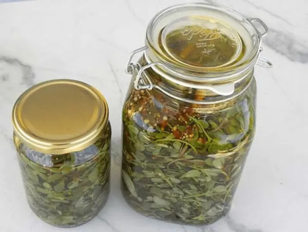 تصویر 4 از ترشی لیته همدان + قیمت خرید
