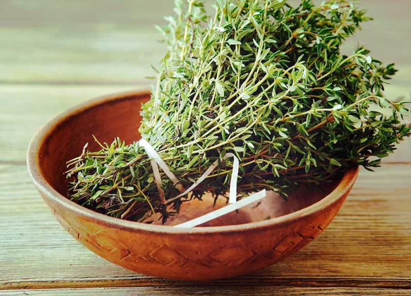 تصویر 1 از قیمت خرید گیاه دارویی آویشن + فروش ویژه