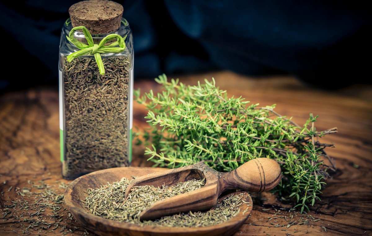 تصویر 5 از قیمت خرید گیاه دارویی آویشن + فروش ویژه