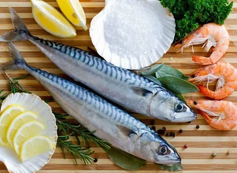 تصویر 3 از قیمت ماهی دولمی جنوب + خرید باور نکردنی