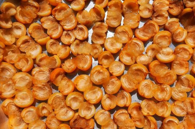 تصویر 1 از خرید و فروش برگه زردآلو صادراتی با شرایط فوق العاده