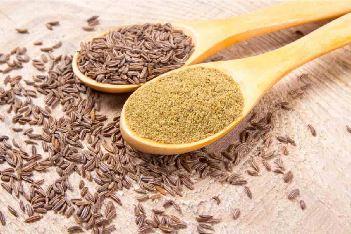 تصویر 5 از قیمت پودر زیره سبز + خرید باور نکردنی
