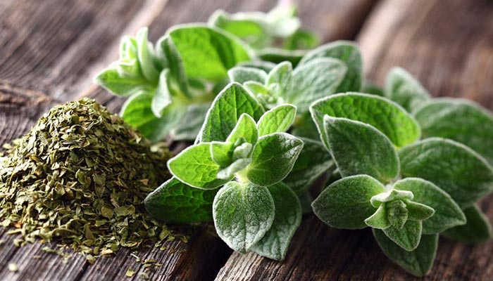 تصویر 5 از خرید آویشن پودر نشده + قیمت فروش استثنایی
