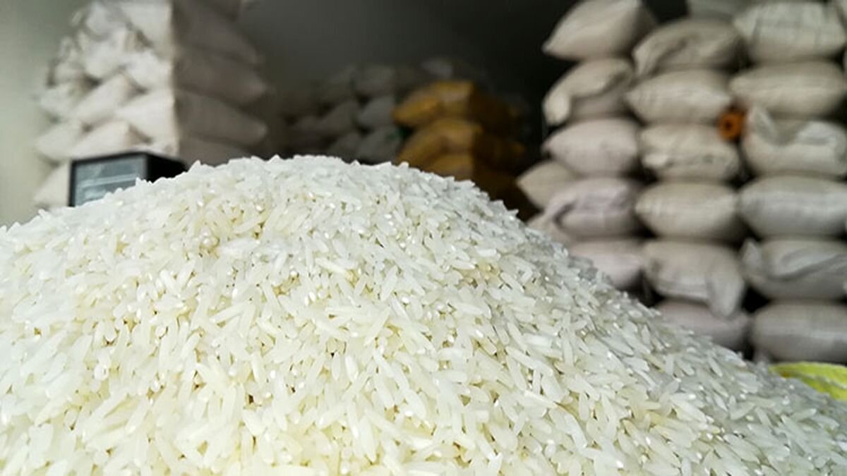 تصویر 2 از خرید برنج عنبر بو درجه یک + قیمت فروش استثنایی