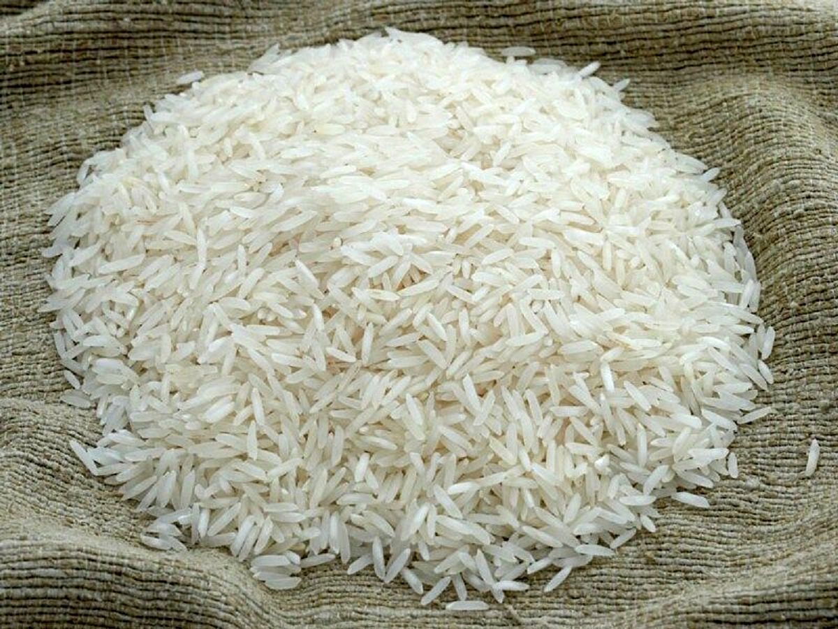 تصویر 5 از قیمت خرید برنج عنبر بو ایرانی با فروش عمده