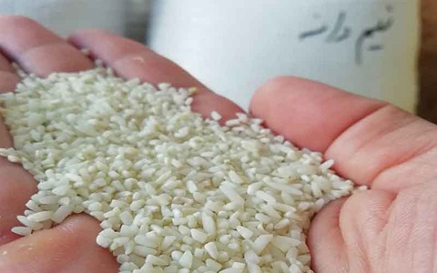تصویر 2 از خرید برنج عنبر بو نیم‌دانه + قیمت فروش استثنایی