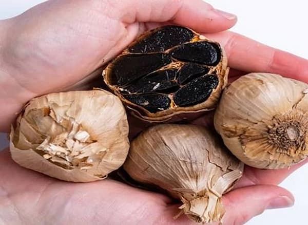 تصویر 3 از خرید سیر سیاه مرغوب + قیمت فروش استثنایی
