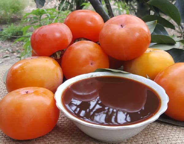 تصویر 5 از قیمت شیره خرمالو وحشی با کیفیت ارزان + خرید عمده