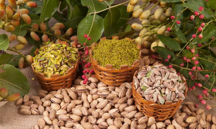 تصویر 1 از خرید مغز پسته جنگلی + قیمت فروش استثنایی