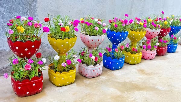 تصویر 2 از قیمت و خرید گلدان پلاستیکی رنگی  + فروش ارزان