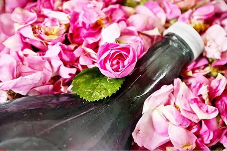 تصویر 1 از قیمت گلاب مرغوب کاشان + خرید باور نکردنی