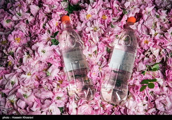 تصویر 1 از خرید و فروش گلاب دو آتیشه ۲۰ لیتری با شرایط فوق العاده