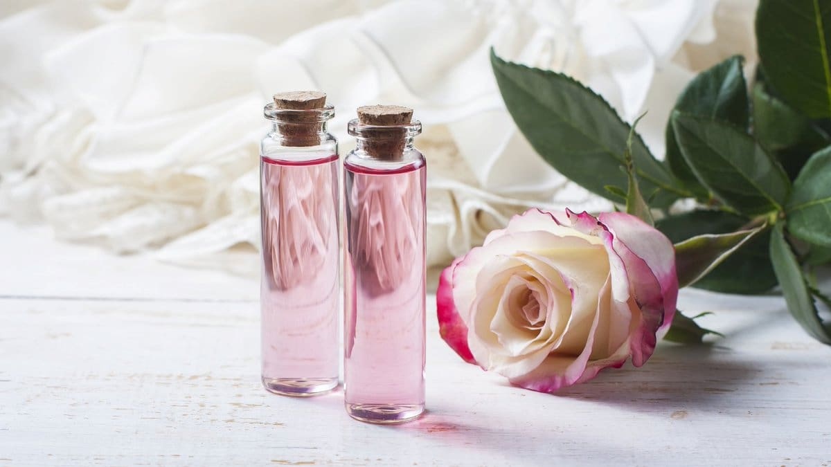 تصویر 5 از قیمت خرید گلاب ربیع نیم لیتری با فروش عمده