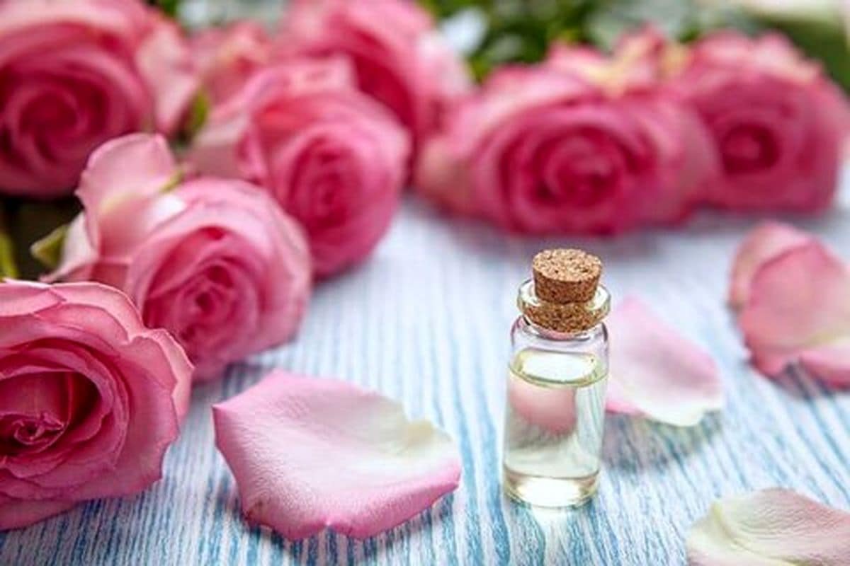 تصویر 1 از قیمت خرید گلاب ربیع نیم لیتری با فروش عمده