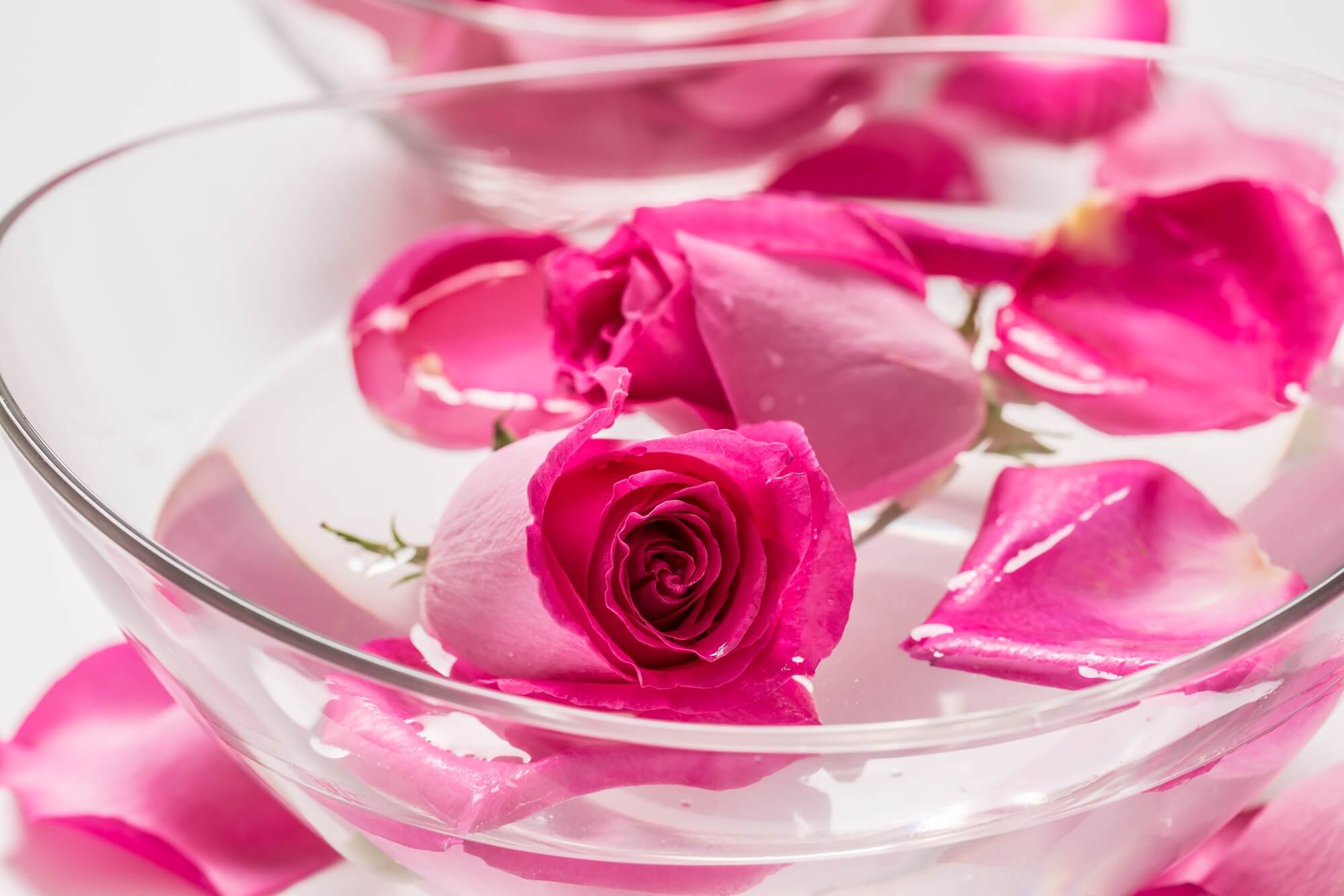 تصویر 5 از قیمت خرید گلاب سه آتیشه با فروش عمده