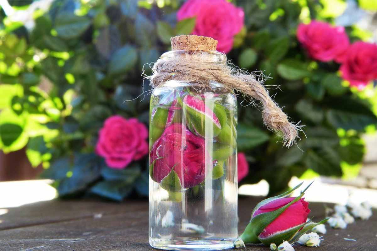 تصویر 5 از خرید و قیمت گلاب ربیع ۱ لیتری + فروش عمده