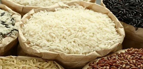 تصویر 1 از قیمت خرید برنج فجر سوزنی + فروش ویژه