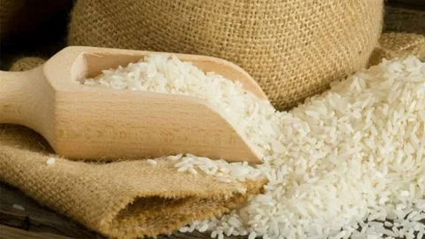 تصویر 4 از قیمت خرید برنج فجر سوزنی + فروش ویژه