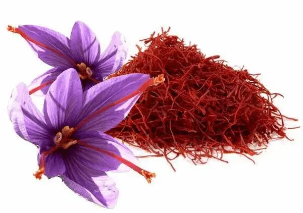 تصویر 1 از خرید زعفران نیم گرمی + قیمت فروش استثنایی