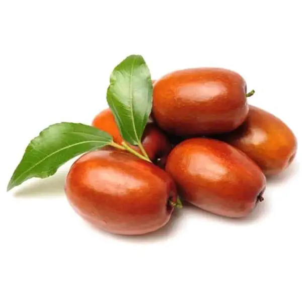 تصویر 1 از خرید و فروش نهال عناب بیرجند با شرایط فوق العاده