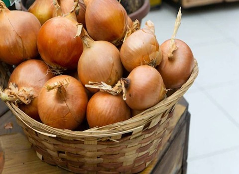 تصویر 2 از قیمت خرید پیاز زرد صادراتی + فروش ویژه