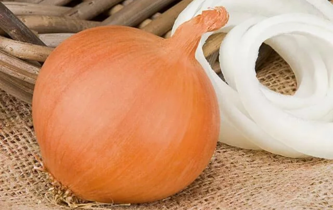 تصویر 4 از قیمت خرید پیاز زرد ریز با فروش عمده