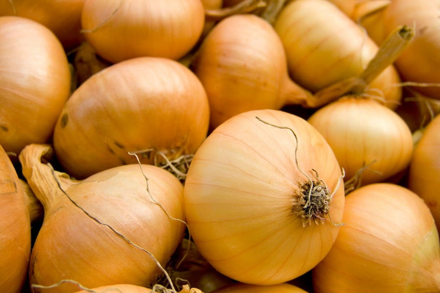 قیمت خرید پیاز زرد ریز + فروش ویژه