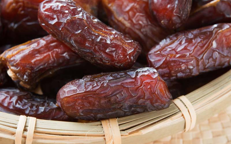 قیمت خرما مجول