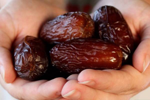 تصویر 4 از خرید و فروش خرما مجول بشاگرد با شرایط فوق العاده