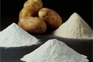 تصویر 2 از قیمت خرید نشاسته سیب زمینی صنعتی + فروش ویژه