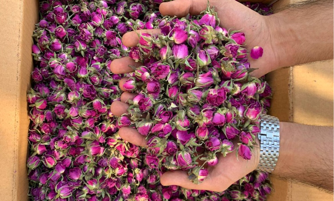 تصویر 5 از قیمت غنچه گل محمدی کیلویی + خرید باور نکردنی