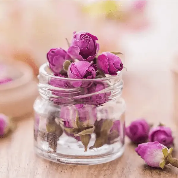 تصویر 4 از قیمت خرید گل محمدی صادراتی با فروش عمده