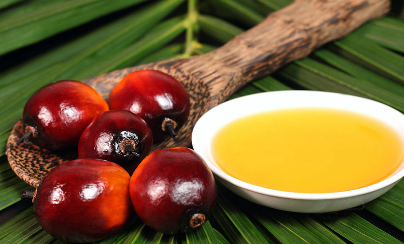 تصویر 3 از قیمت خرید روغن هسته خرما + فروش ویژه