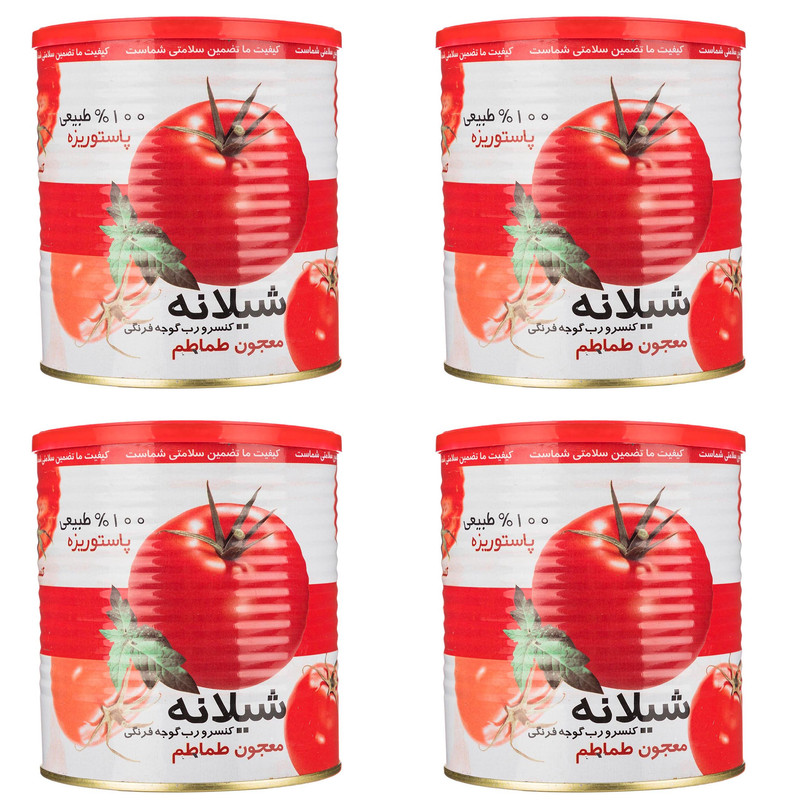 تصویر 5 از قیمت رب گوجه فرنگی شیلانه با کیفیت ارزان + خرید عمده