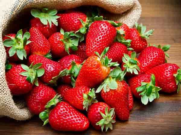 تصویر 1 از قیمت خرید توت فرنگی سابرینا + فروش ویژه