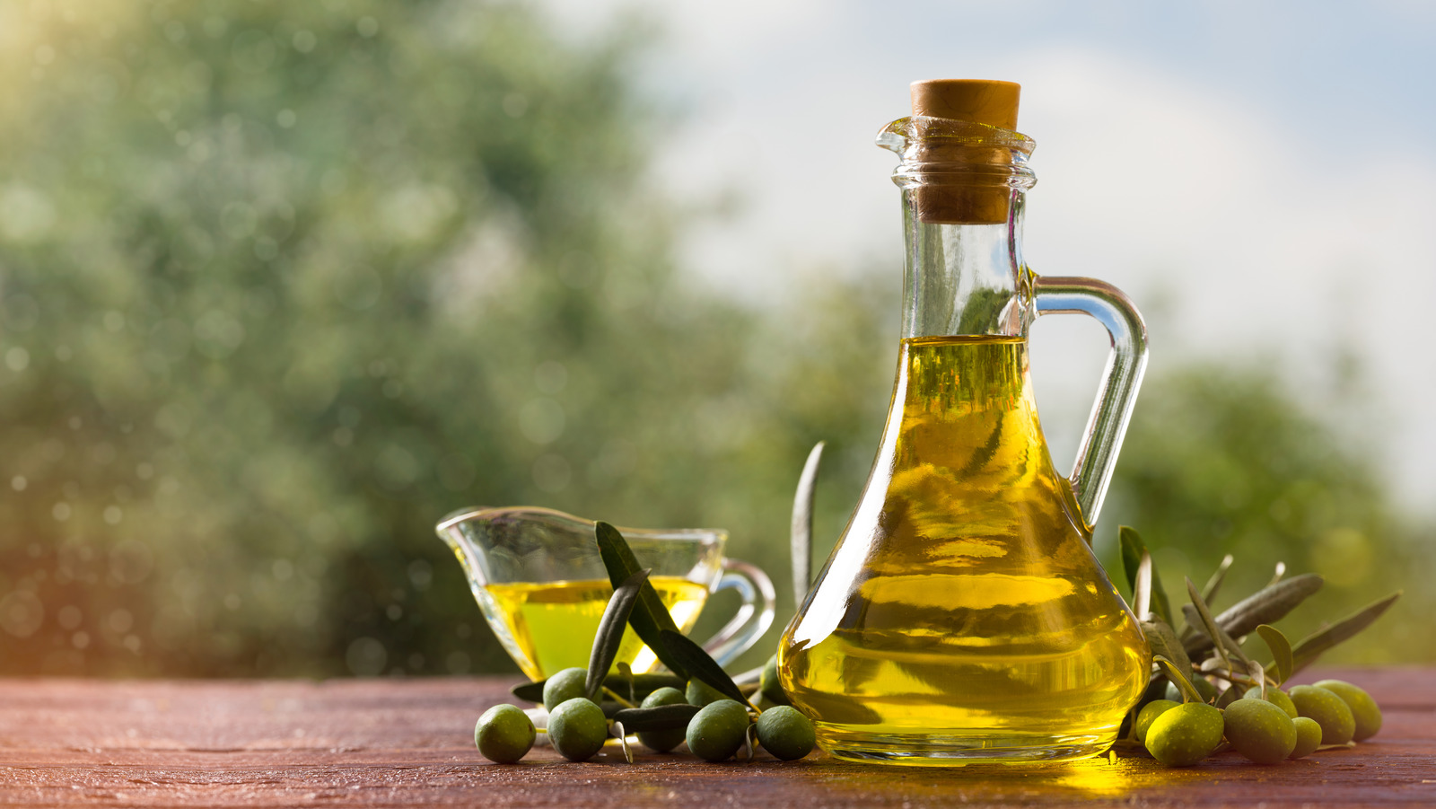 تصویر 3 از قیمت خرید روغن زیتون فرابکر شمال با فروش عمده