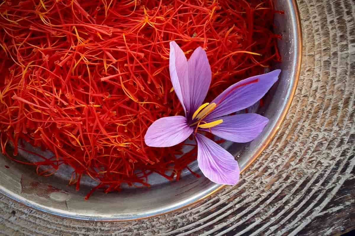 زعفران صدیقی ممتاز ایرانی با استاندارد جهانی