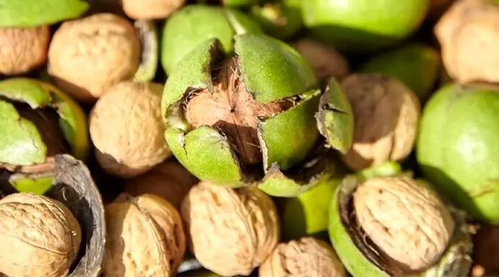 تصویر 3 از قیمت خرید مغز گردوی چندلر با فروش عمده
