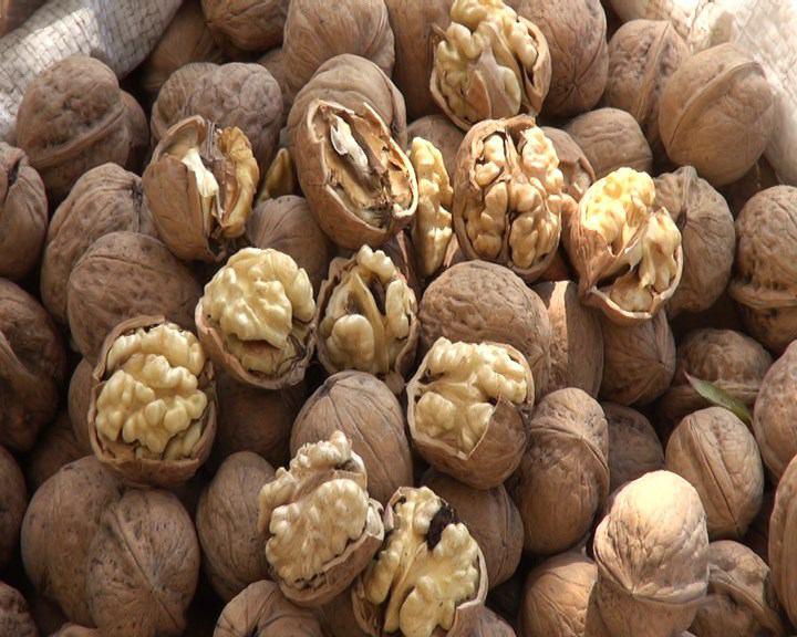 تصویر 3 از قیمت خرید مغز گردو سفید تویسرکان + فروش ویژه