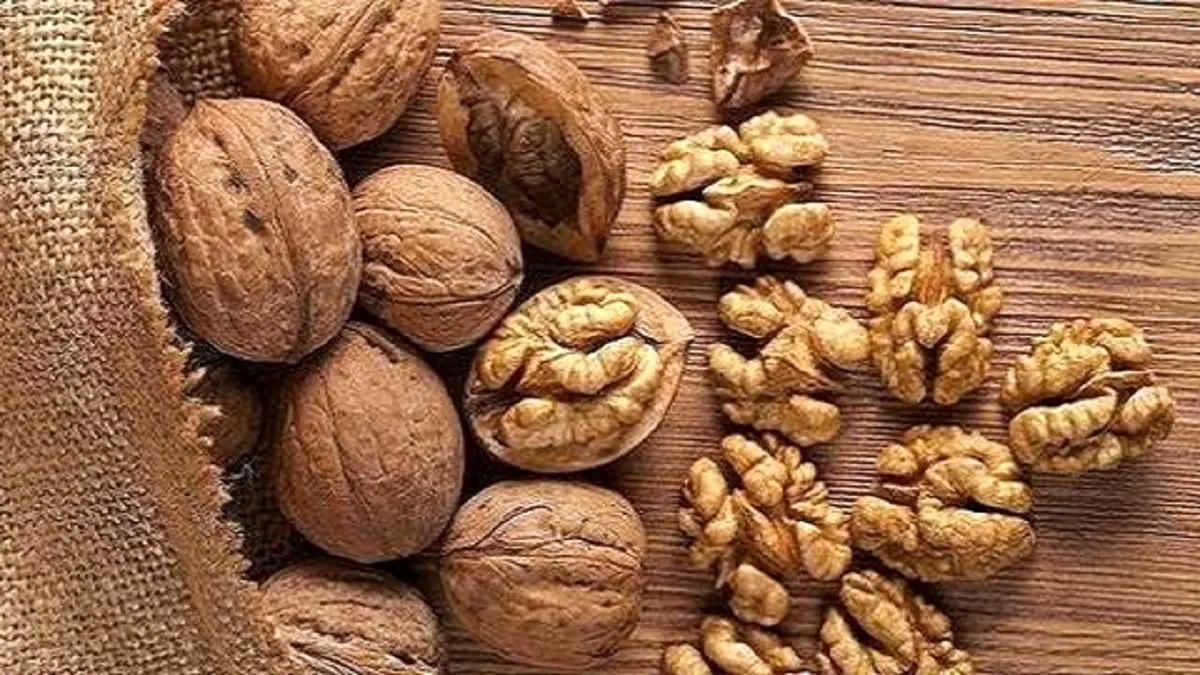 تصویر 3 از فروش گردو کاغذی تویسرکان + قیمت خرید به صرفه