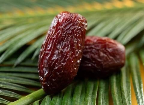 تصویر 5 از فروش خرما پیارم هرمزگان + قیمت خرید به صرفه