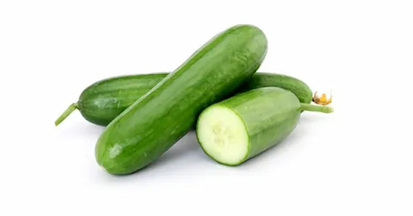 تصویر 3 از خرید خیار درختی  اصفهان + قیمت فروش استثنایی