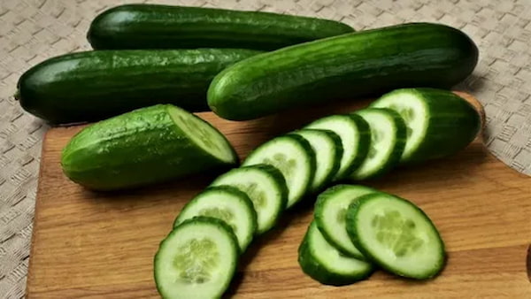 تصویر 2 از خرید خیار درختی  اصفهان + قیمت فروش استثنایی