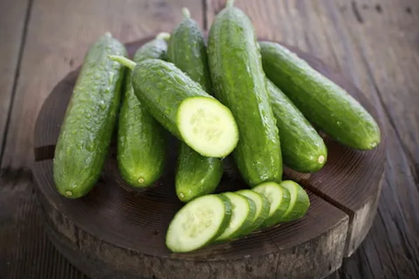 تصویر 1 از خرید خیار درختی  اصفهان + قیمت فروش استثنایی